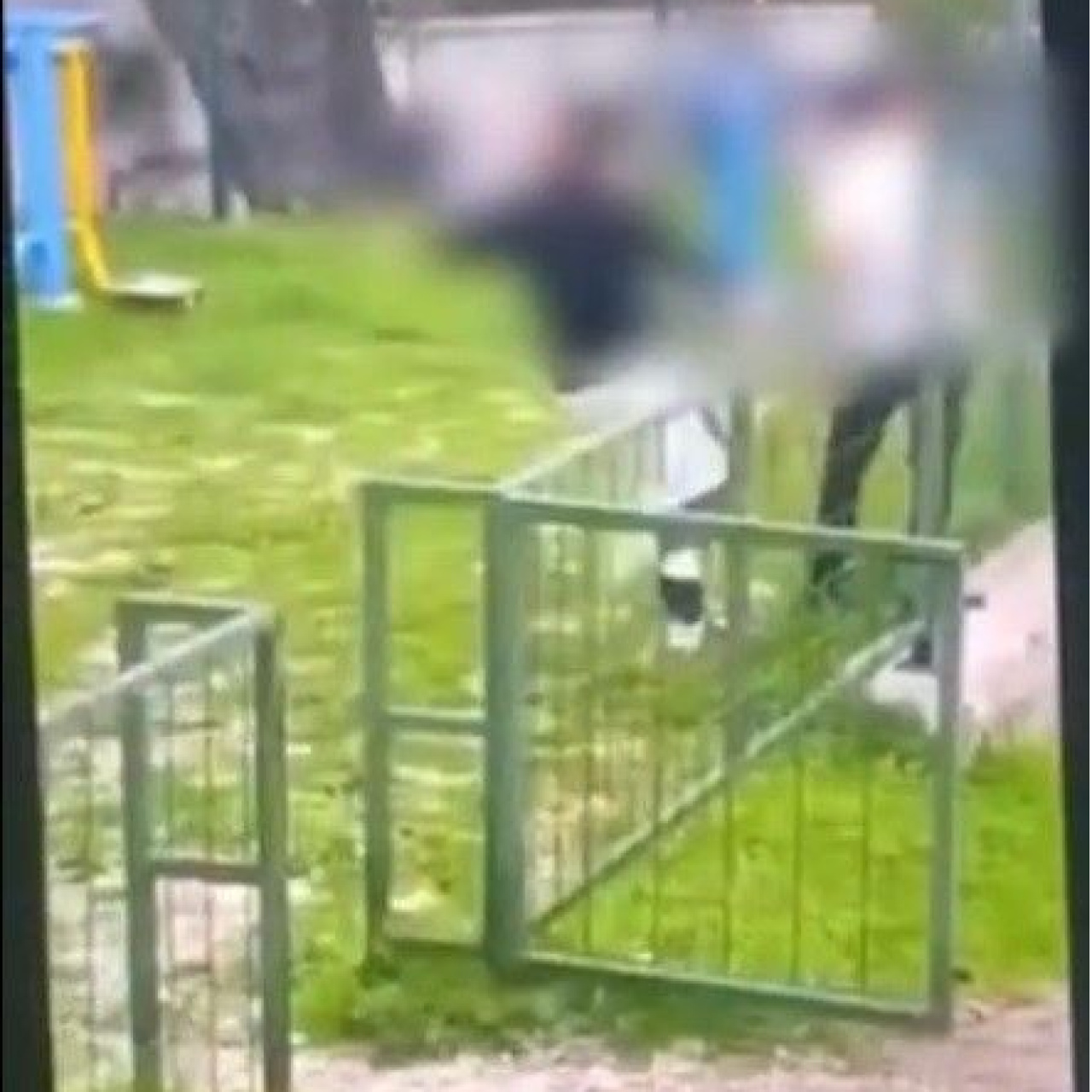 Bodrum’da kan donduran akran zorbalığı!