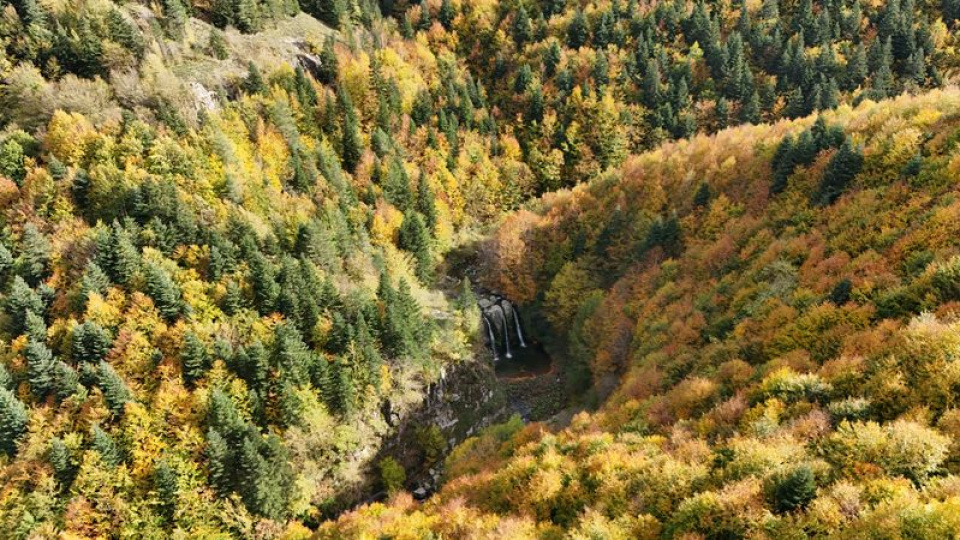 21 ilde bazı alanlar orman sınırları dışına çıkarıldı