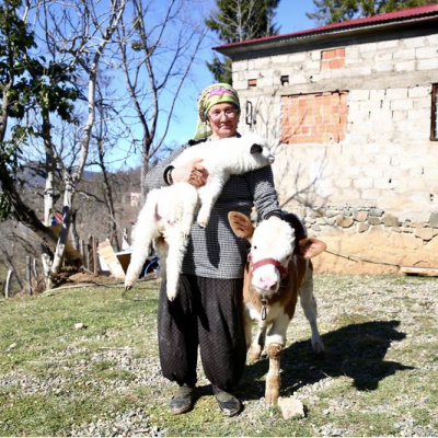 Hem kuzusunu hem de engelli buzağısını yanından ayırmıyor