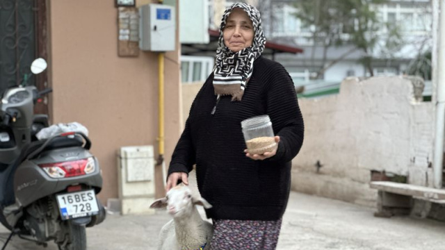 Sahibi ile pide sırasına giriyor