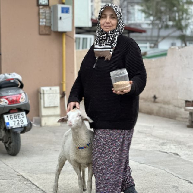 Sahibi ile pide sırasına giriyor
