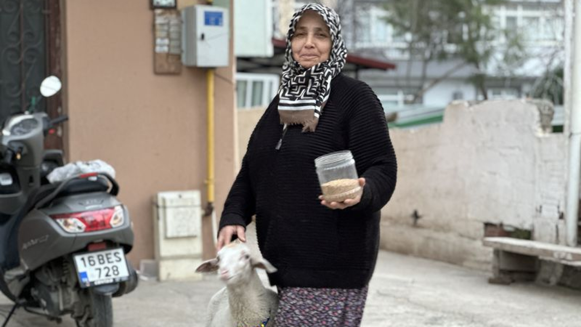 Bursa'da 'Çorap' Adlı Kuzu, Sahibiyle Pide Sırasına Giriyor