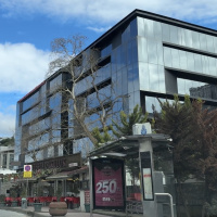 Üniversitedeki bıçaklı saldırıda kritik tablo!