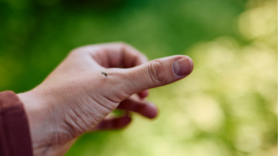 İnsanlığın en ölümcül düşmanı!