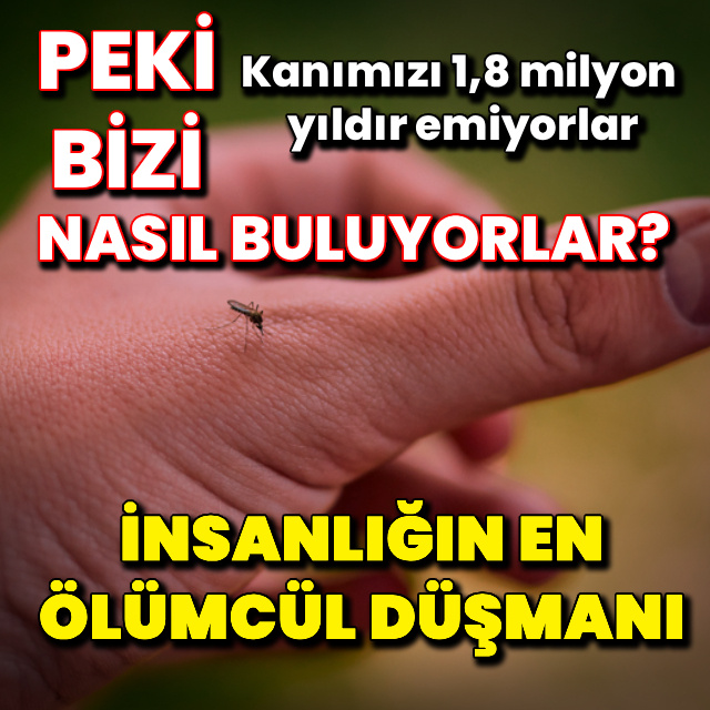 İnsanlığın en ölümcül düşmanı!