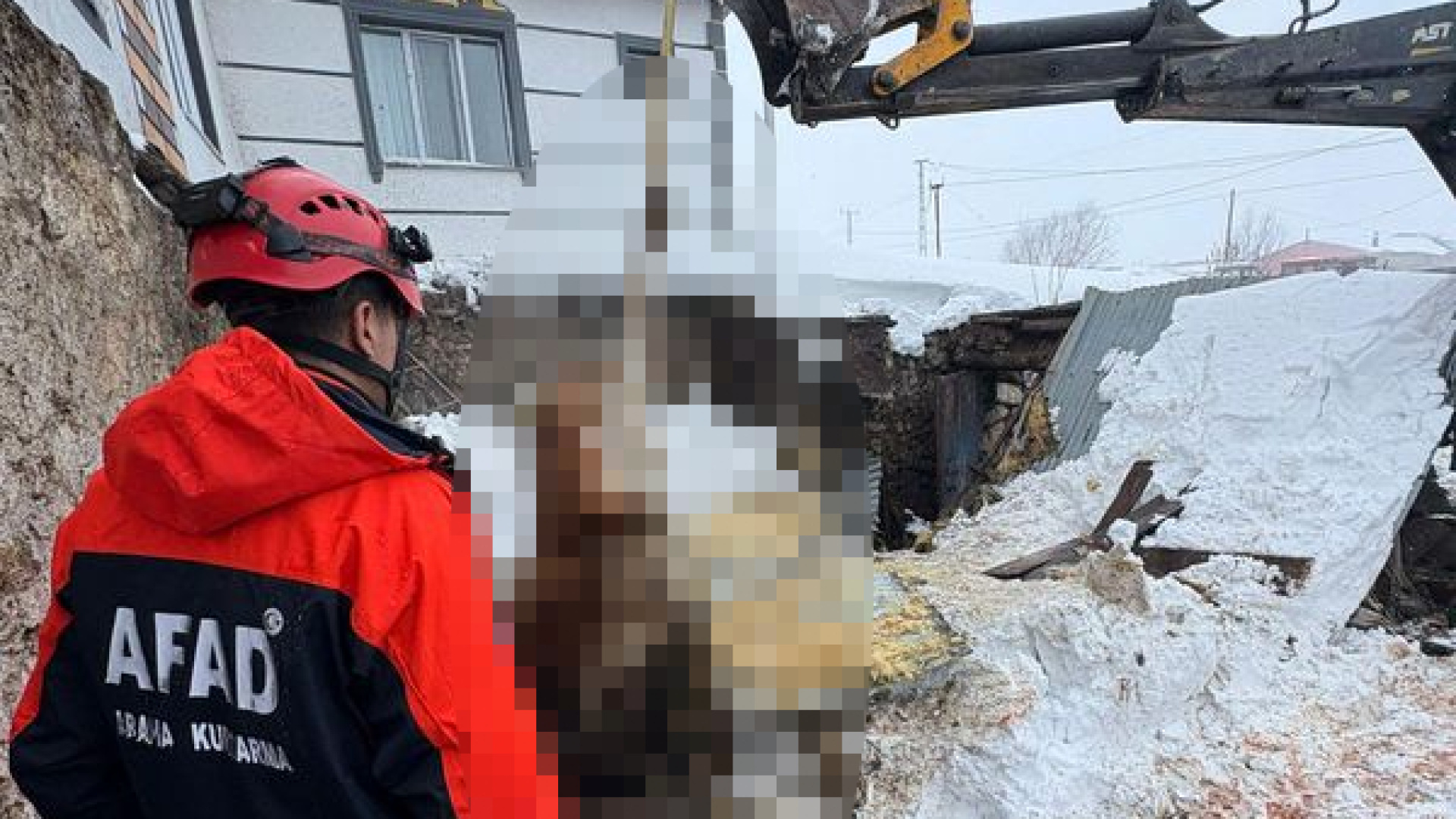 Kars'ta kar kütlesi iki ahırı çökertti: 4 büyükbaş öldü | Son dakika haberleri