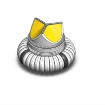 Mersin Üniversitesi'nde geliştirilen kalp kapağının patenti alındı