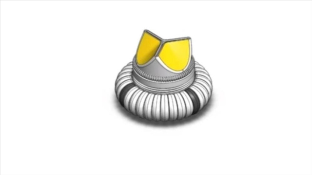 Mersin Üniversitesi'nde geliştirilen kalp kapağının patenti alındı