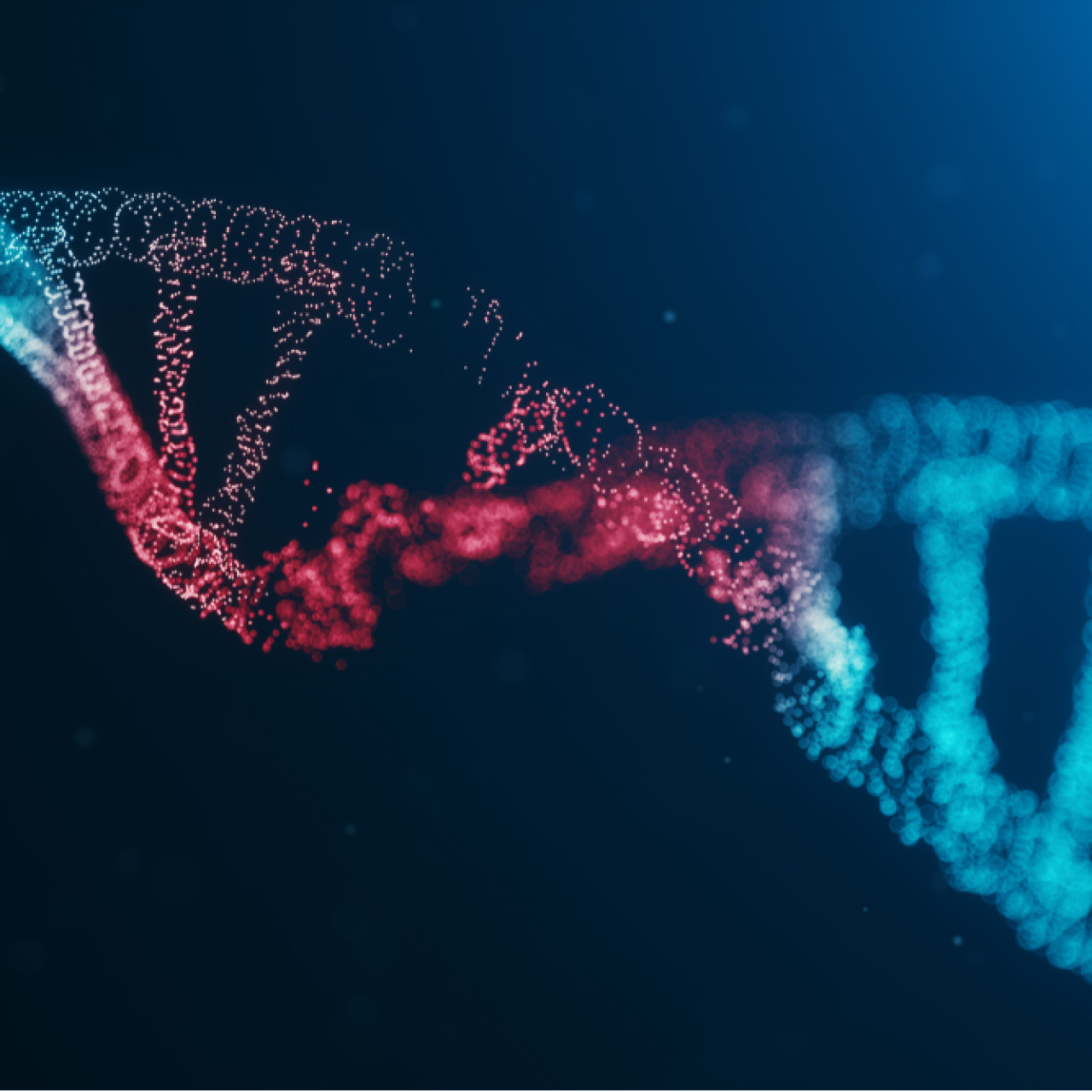 Kayseri'de 7 çocuk literatüre girdi