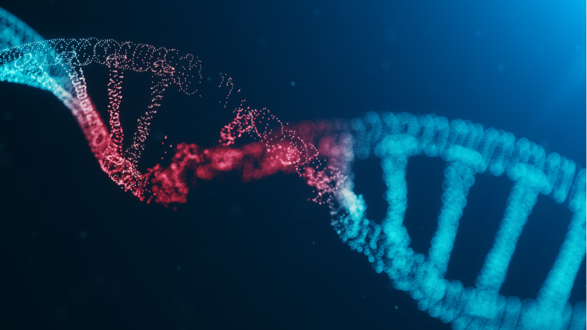 Kayseri'de 7 çocuk, dünyada yaklaşık 200 kişide rastlanan Tangier hastalığı tanısıyla literatüre girdi - Haberler | Sağlık Haberleri