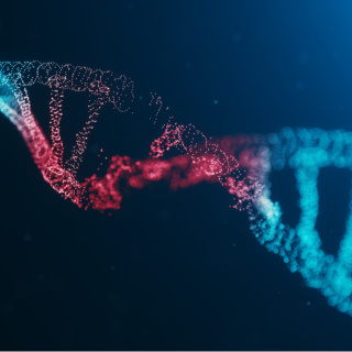 Kayseri'de 7 çocuk literatüre girdi