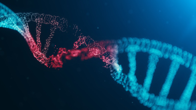 Kayseri'de 7 çocuk literatüre girdi