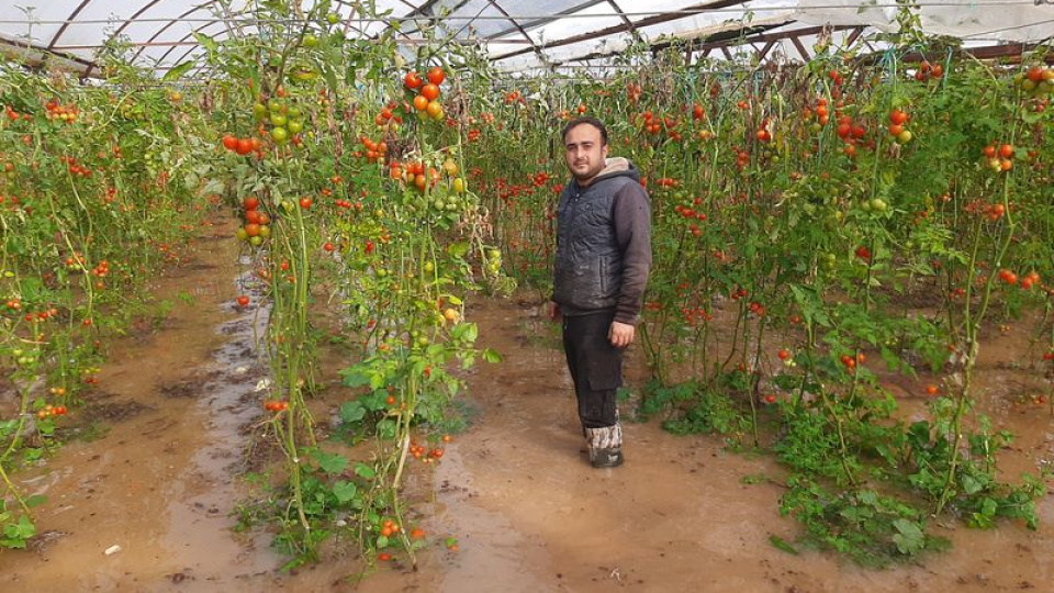 Fırtına, hortum sel... Felaketin bedeli 3 milyon!