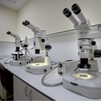 1 damla kan izi her şeyi ortaya çıkardı!