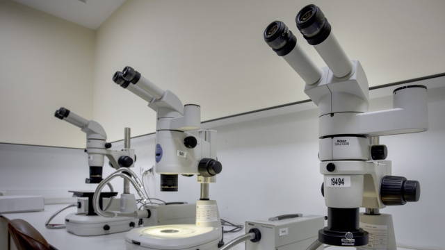 1 damla kan izi her şeyi ortaya çıkardı!