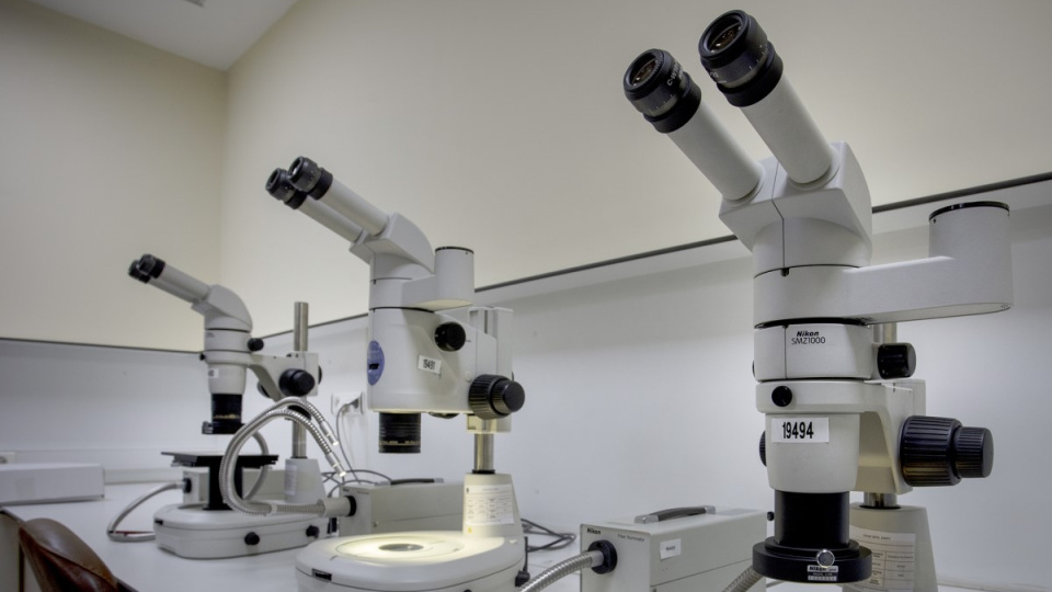 1 damla kan izi her şeyi ortaya çıkardı!