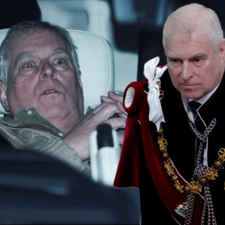 Düşüşü dizi olacak