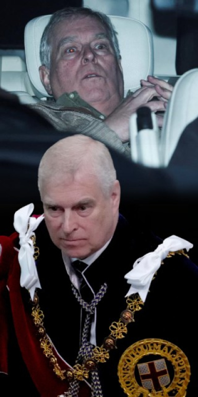 Düşüşü dizi olacak