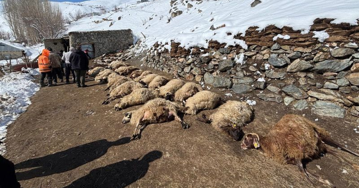 Van'da Ahır Yangını: 67 Küçükbaş ve 1 İnek Ölümü