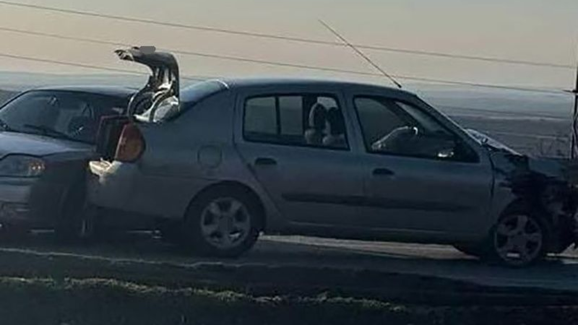 Kilis'te iki otomobil çarpıştı... 1 kişi hayatını kaybetti! | Son dakika haberleri