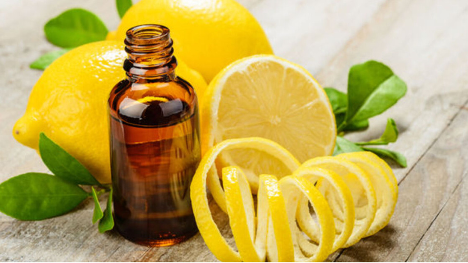 Evde Limon Yağı Nasıl Yapılır?
