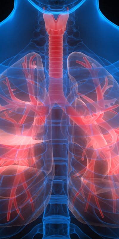 Bir seansı 100 sigara dumanına eşdeğer!