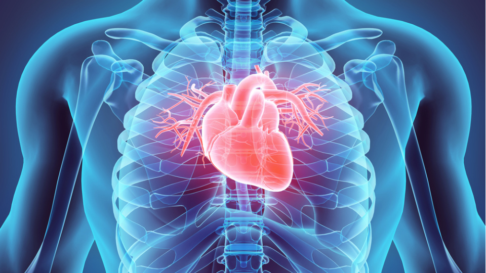 Bilim insanlarından "bataryasız" kalp pili projesi