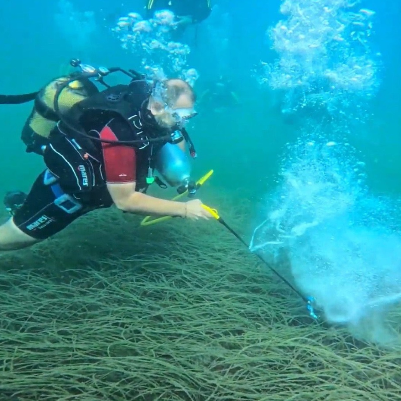 Garanti BBVA ve TURMEPA’dan deniz çayırlarına ‘Mavi Nefes’