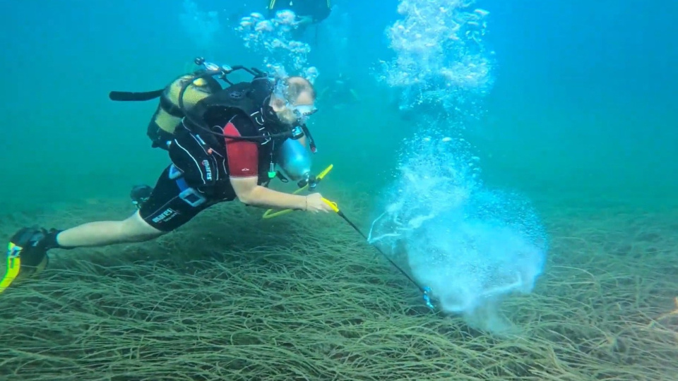 Garanti BBVA ve TURMEPA'dan deniz çayırlarına 'Mavi Nefes'