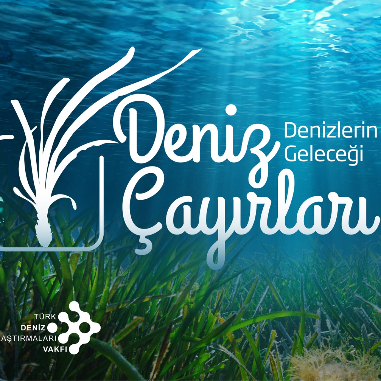 Milyar dolarlık ekolojik tehdit