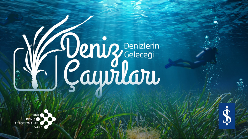 Milyar dolarlık ekolojik tehdit