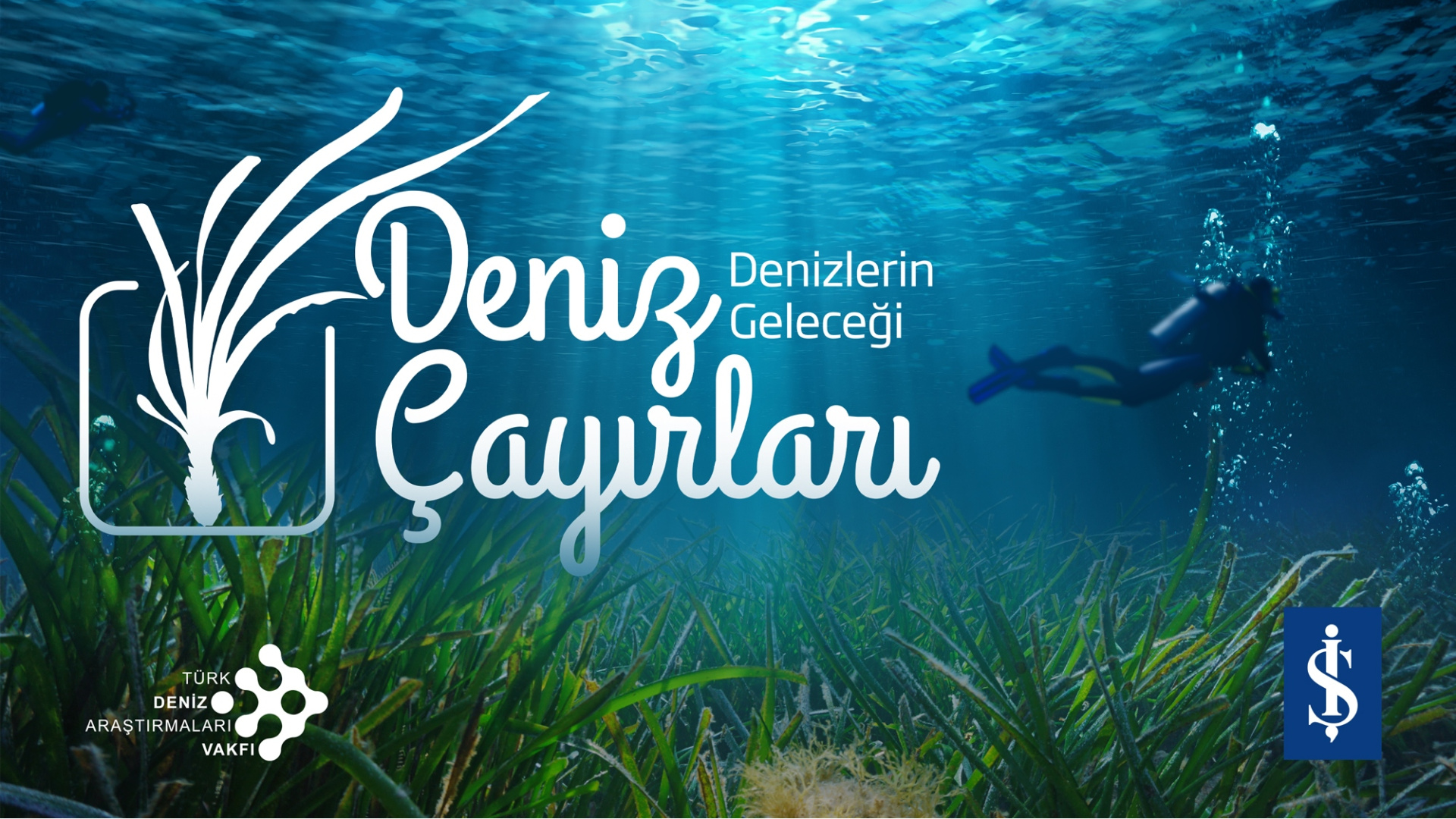 Deniz Çayırları Yok Oluyor: Yıllık Ekonomik Kayıp 42 Milyar Doları Bulabilir