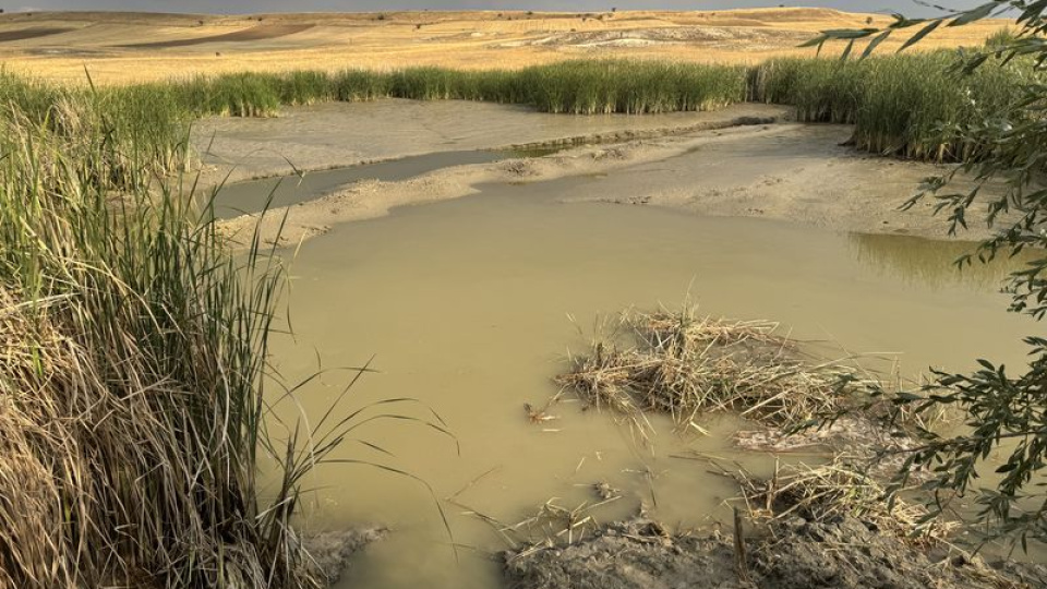 Tarımın bozduğu turbalıklardan 2 milyar ton karbon