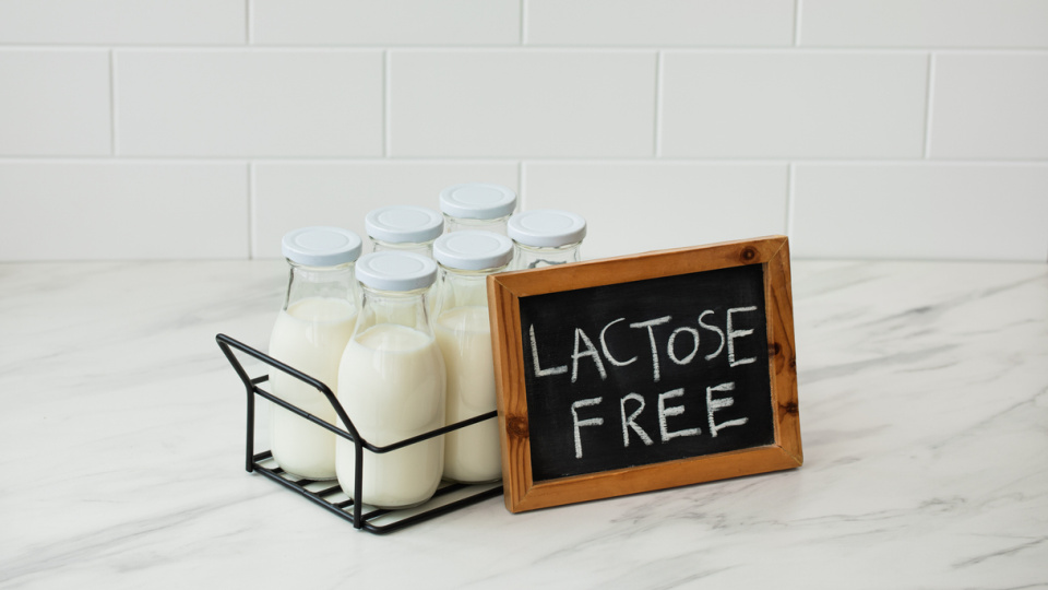 Evde laktozsuz süt nasıl yapılır?