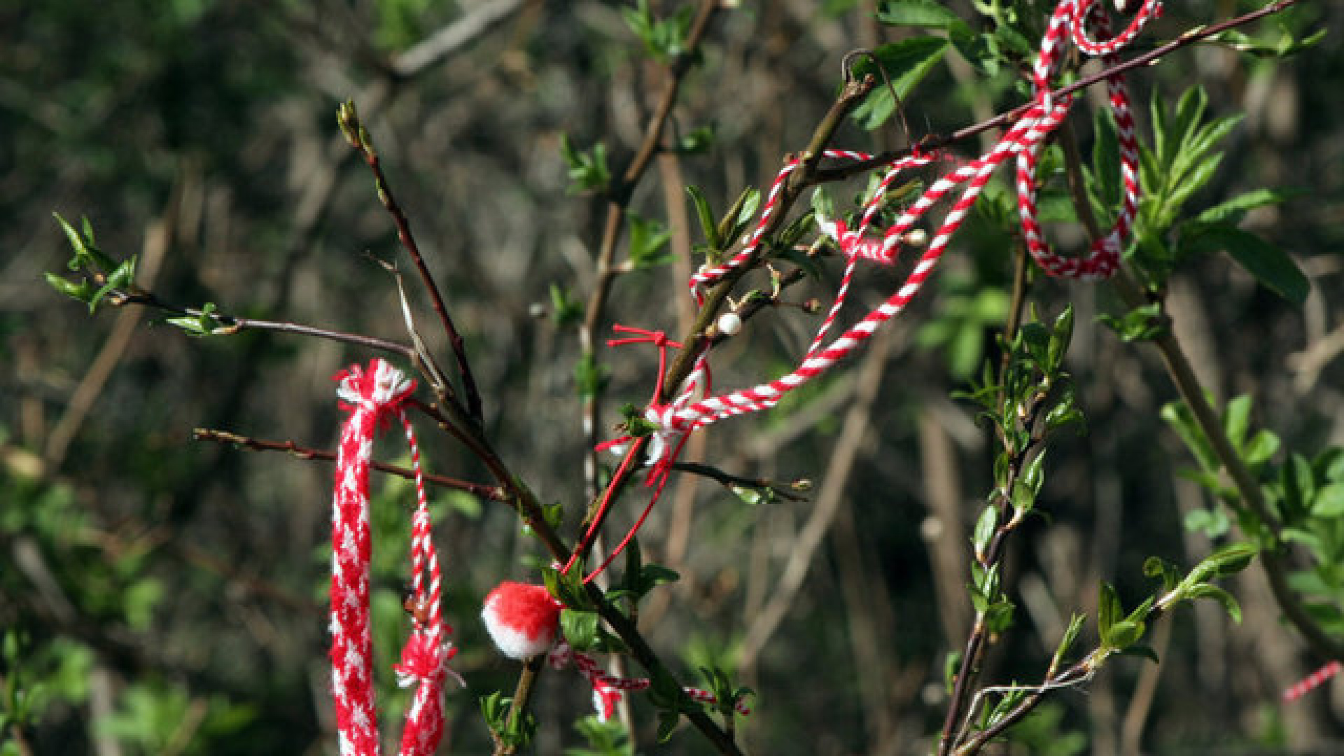 Marteniçka hikayesi ve anlamı: Marteniçka ne zaman ve hangi kola takılır, nasıl yapılır?