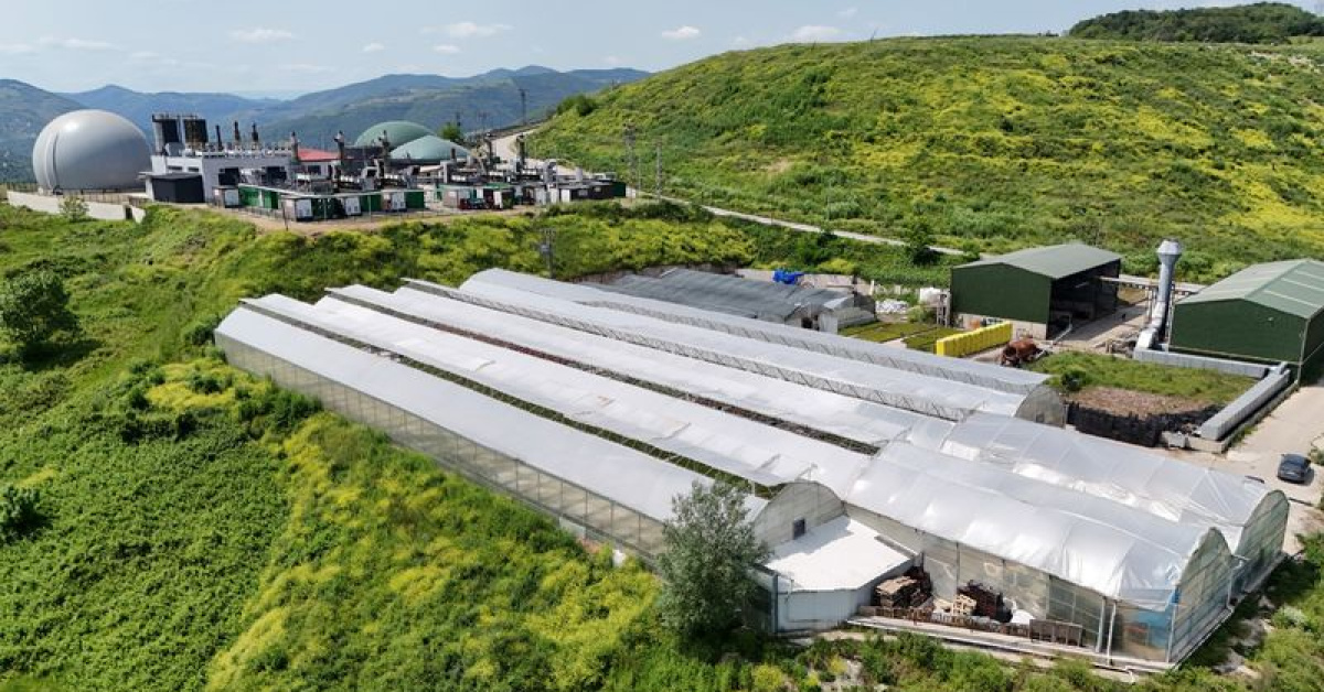 Samsun'ta Atık Enerjisi ile Çiçek Üretimi