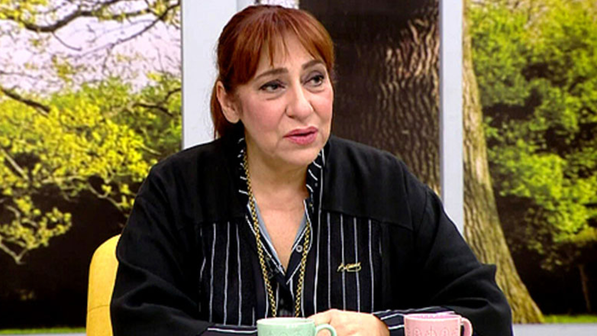 Melek Baykal Tokat İddialarını Yalanladı, Hukuki Süreç Başlatıldı