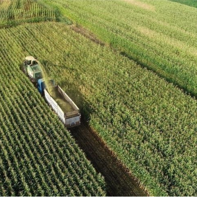 Mazot ve gübre desteği ne zaman yatacak?