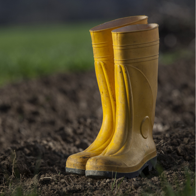 Sarı Çizmeli Mehmet Ağa'nın hikayesi!