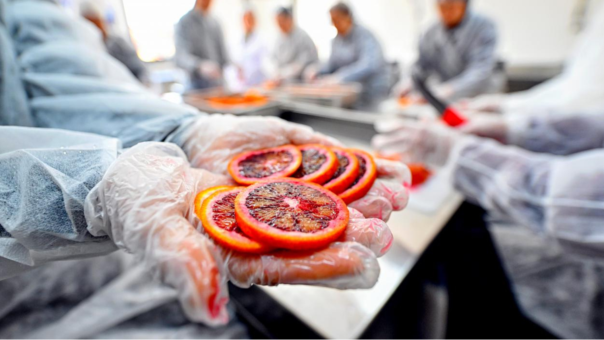 Mersin'de Kadınlar İçin 'Kan Portakalı' Atölyesi Başladı
