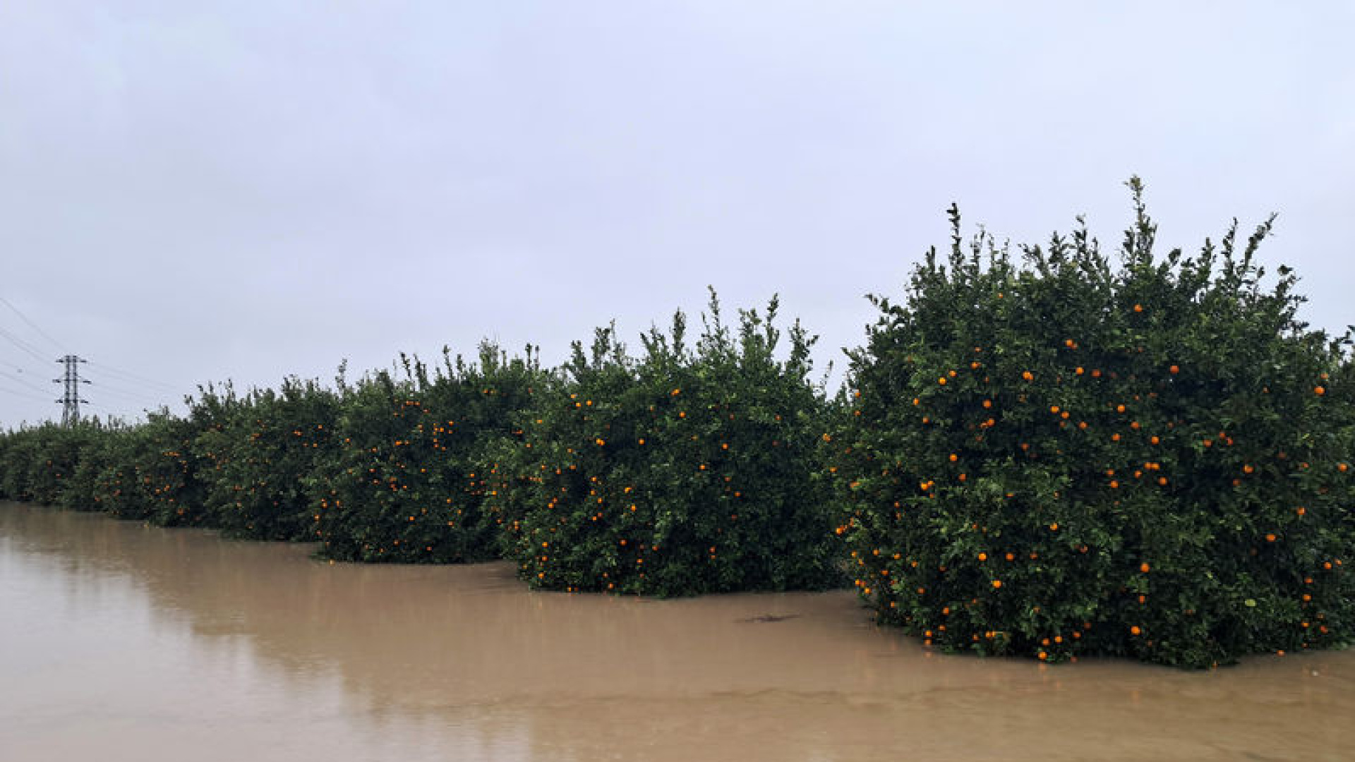 Yeni normal: 1 sene kurak, 1 sene aşırı yağış! | Son dakika haberleri