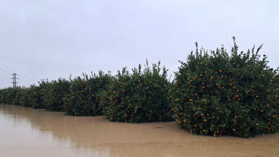 Yeni normal: 1 sene kurak, 1 sene aşırı yağış!