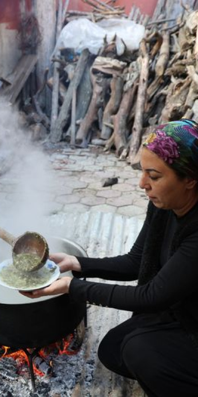 Doğada zehirli, kazanda şifa!