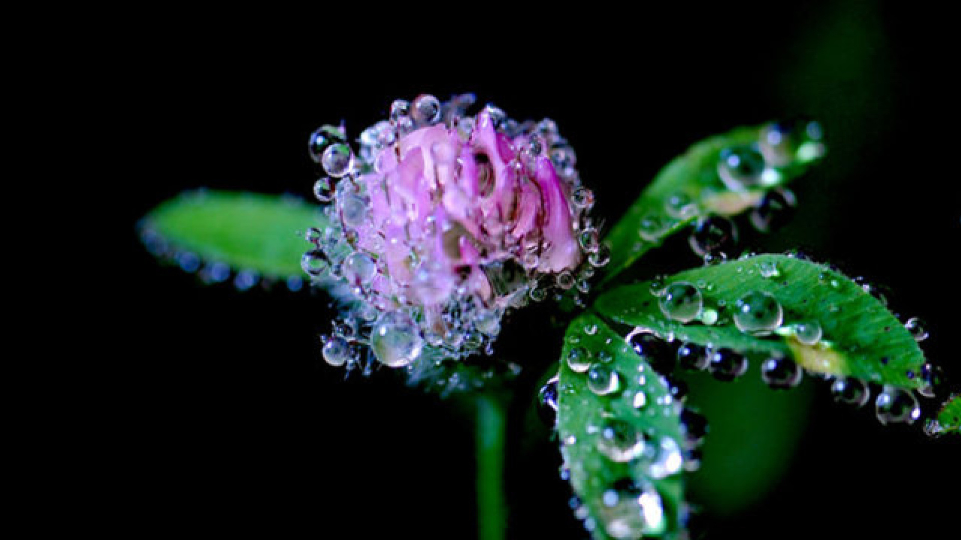 Cemre düşmesi tarihleri 2026: Üçüncü cemre ne zaman ve nereye düşecek?