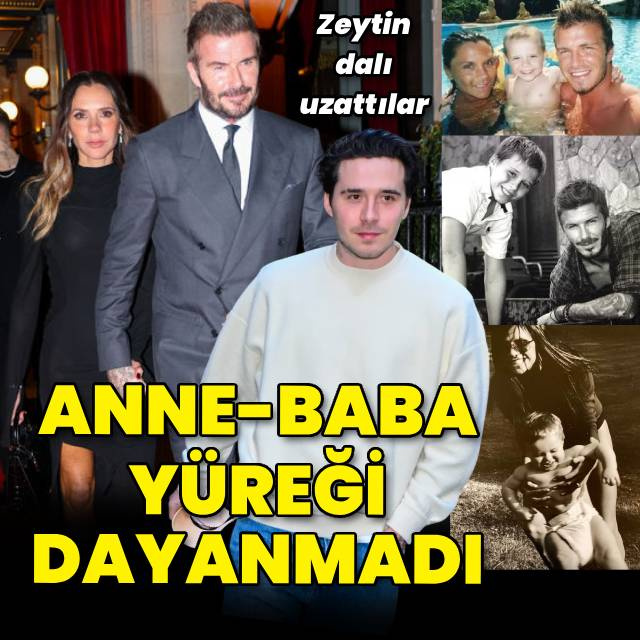 Zeytin dalı uzattılar