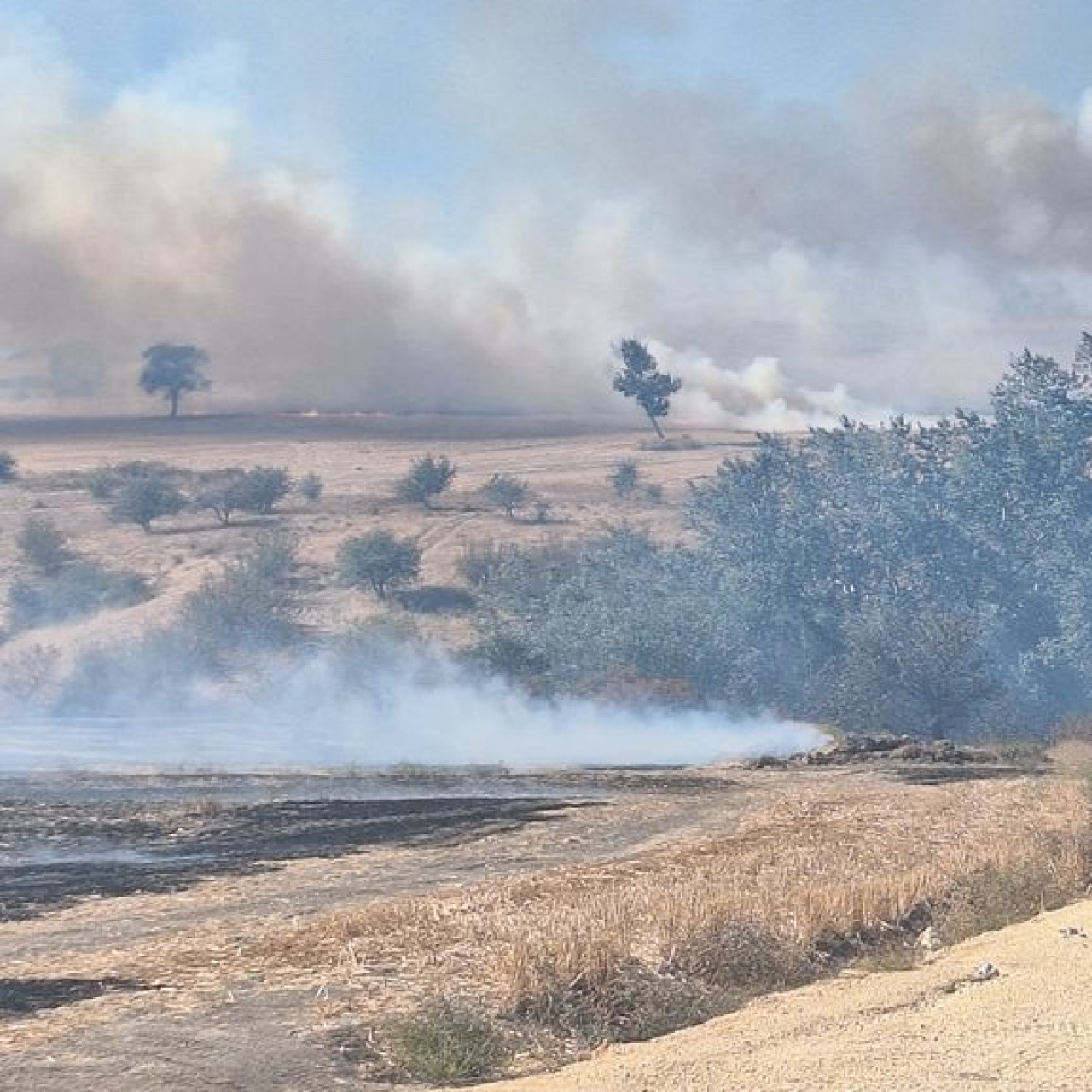 Edirne'de anız yakanlara 518 bin lira ceza