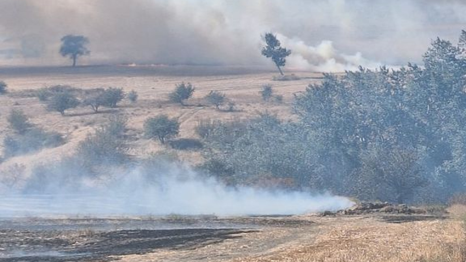 Edirne'de anız yakanlara 518 bin lira ceza