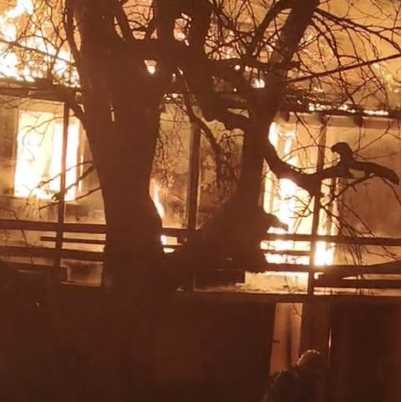 Yalnız yaşadığı evinde çıkan yangında öldü