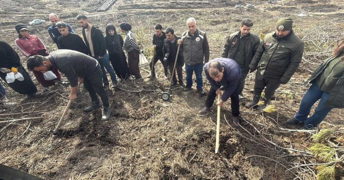 Seyitgazi'de Ağaçlandırma Başladı