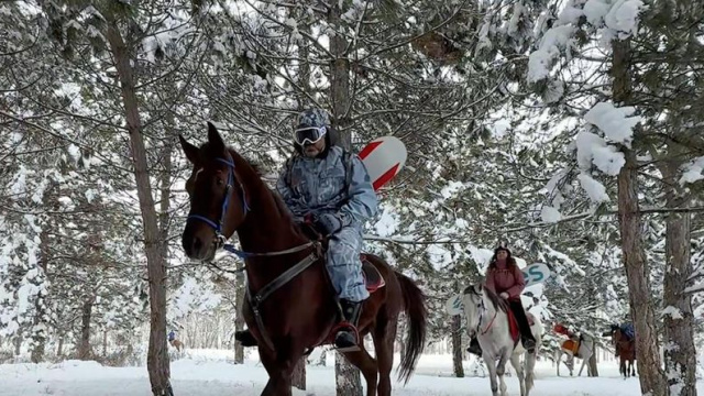 Karlı arazide önce safari, ardından atlarla snowboard